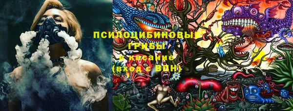 spice Рославль