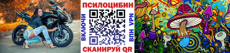 маркетплейс наркотические препараты дарнет шоп Кушва Псилоцибиновые грибы прущие грибы