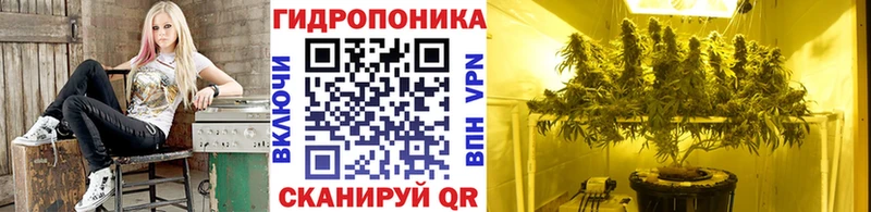 Канабис индика  Кушва 